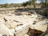 Tel Ashkelon