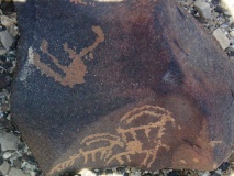 Wadi Paran ancient agriculture terraces, matseboth and Rock art