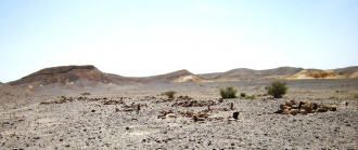 Paran Sagi habitations , Matsebot ,and Flint workshop 