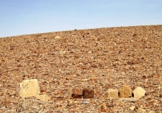 Paran Sagi habitations , Matsebot ,and Flint workshop 