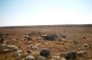 Dolmen field near Natur on the Golan Heights 