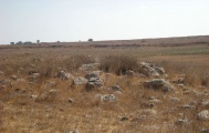 Dolmen field near Natur on the Golan Heights 