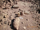 Roded cult sites
