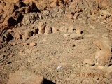 Roded cult sites