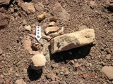 Roded cult sites
