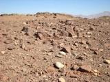 Roded cult sites