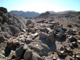 Roded cult sites