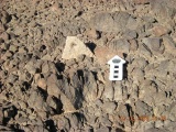 Roded cult sites