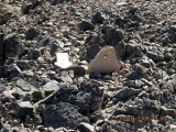 Roded cult sites