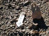 Roded cult sites