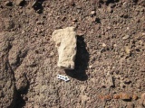 Roded cult sites