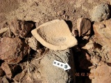 Roded cult sites
