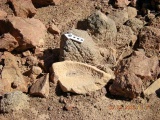 Roded cult sites