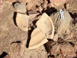 Roded cult sites