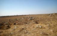 Dolmen field near Natur on the Golan Heights 