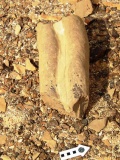 Sha'alav Plaza Site