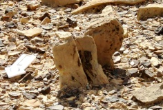 S' of wadi Ya'alon
