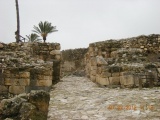 Megiddo