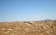 Dolmen field near Natur on the Golan Heights 