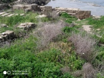 Tel Dor