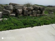 Tel Dor