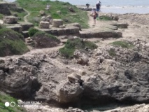 Tel Dor