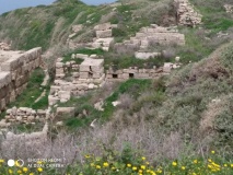 Tel Dor