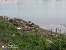 Tel Dor