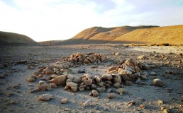 Wadi Tse'ela Habitation site
