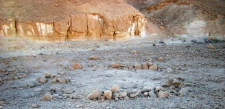 Wadi Tse'ela Habitation site