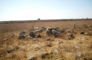 Dolmen field near Natur on the Golan Heights 