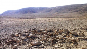 Upper Wadi Eteq Masseboth 