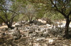 Tel Kadesh Naftali 