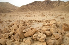 Wadi Paran tributary camp site & Tumuli 