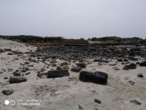 Tel Dor