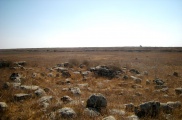 Dolmen field near Natur on the Golan Heights 