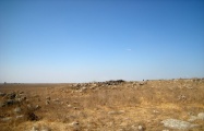 Dolmen field near Natur on the Golan Heights 