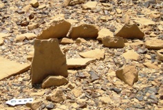 S' of wadi Gadna'a
