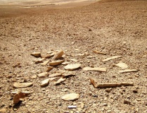Sayarim Valley E' 