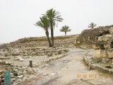 Megiddo