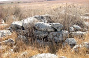 Dolmen field near Natur on the Golan Heights 