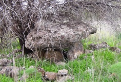 Gamla Dolmen field 
