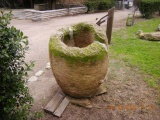 Megiddo