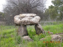Gamla Dolmen field 