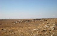 Dolmen field near Natur on the Golan Heights 