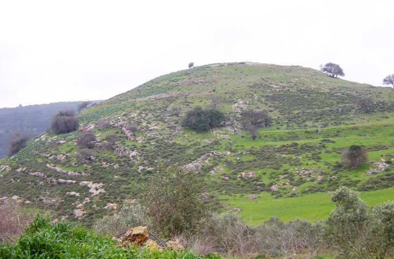  Tel Yodfat 