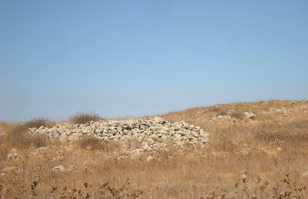 Dolmen field near Natur on the Golan Heights 