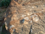 Rawdah Rock carving (6)
