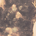 Azraq Geoglyph - PID:270288