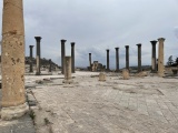 Gadara - PID:270696